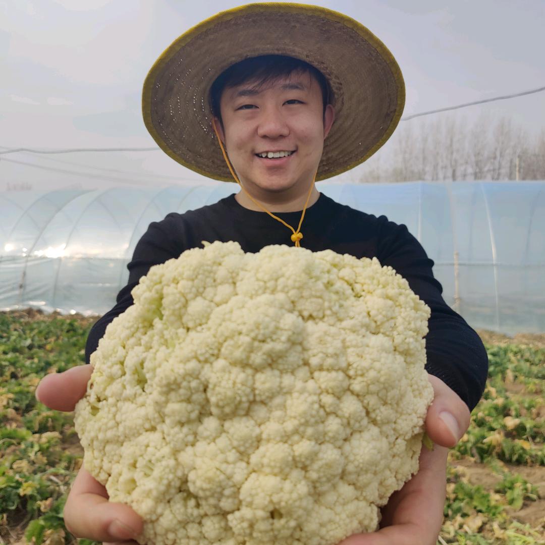 郭田说农