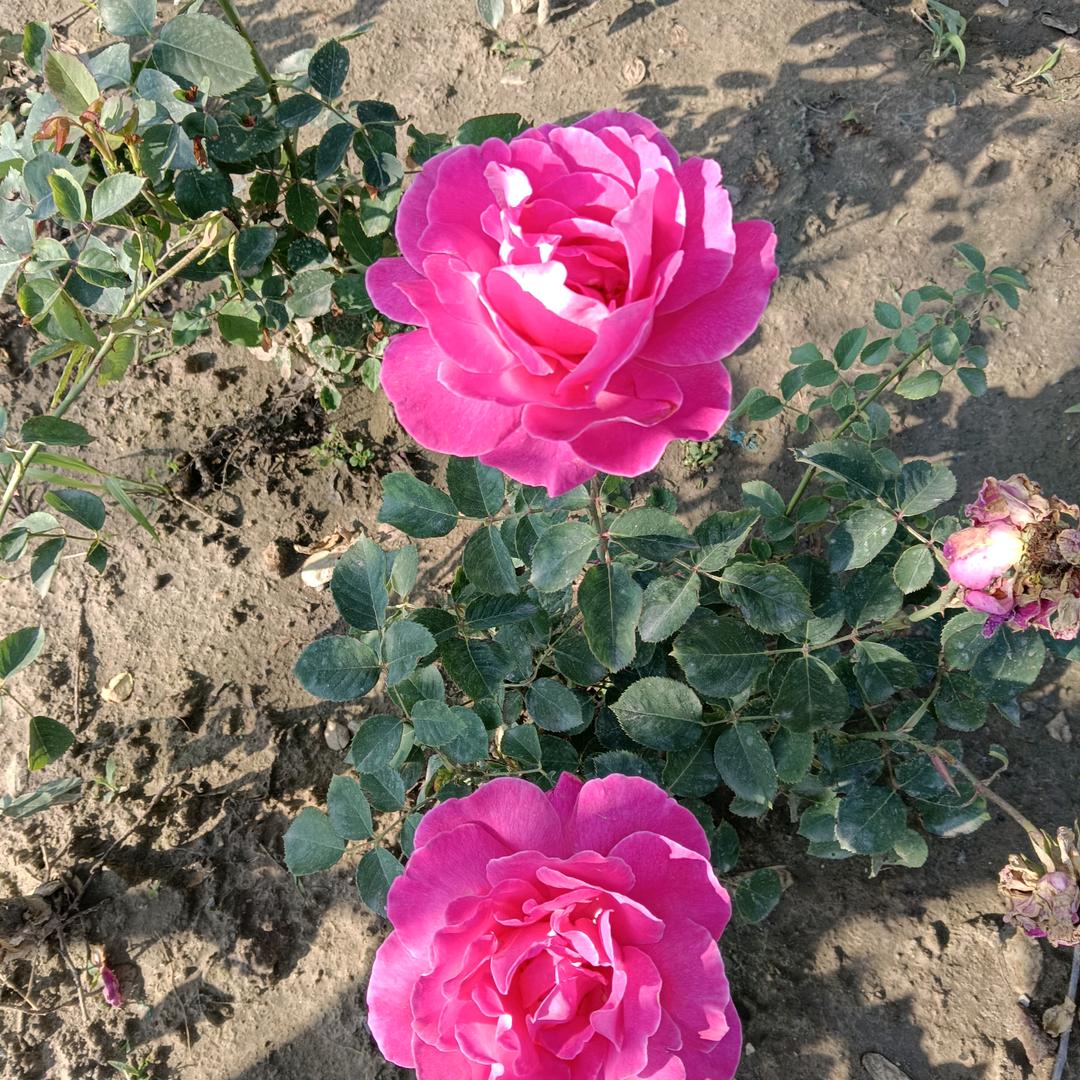 要学会面对现实