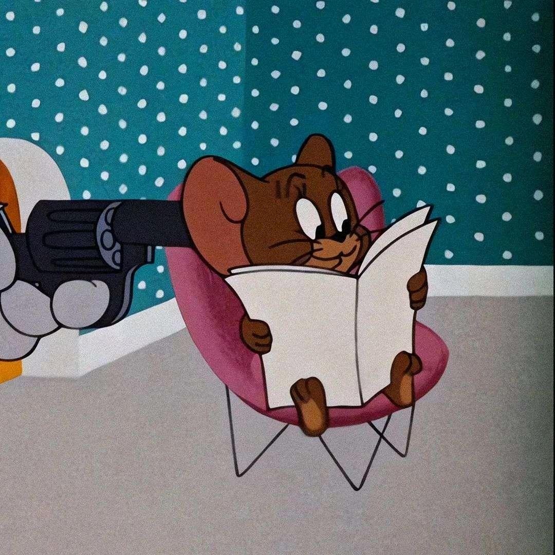 一只猫