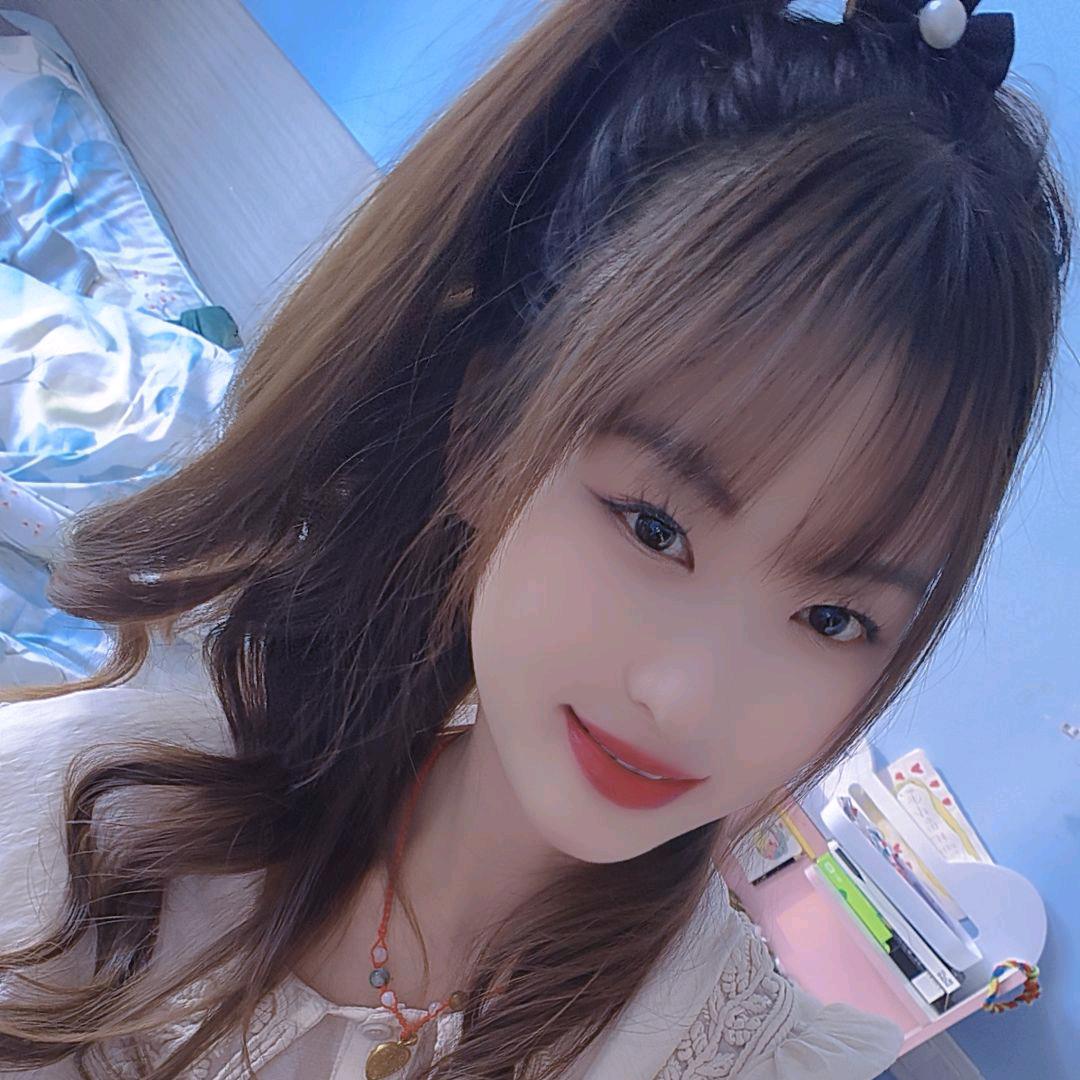 小菊宝