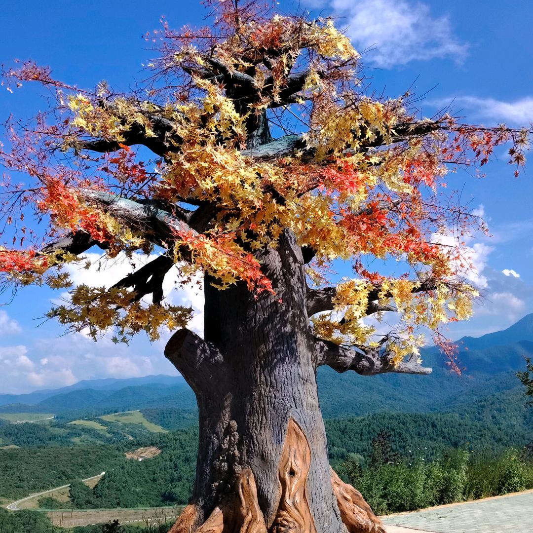 涛