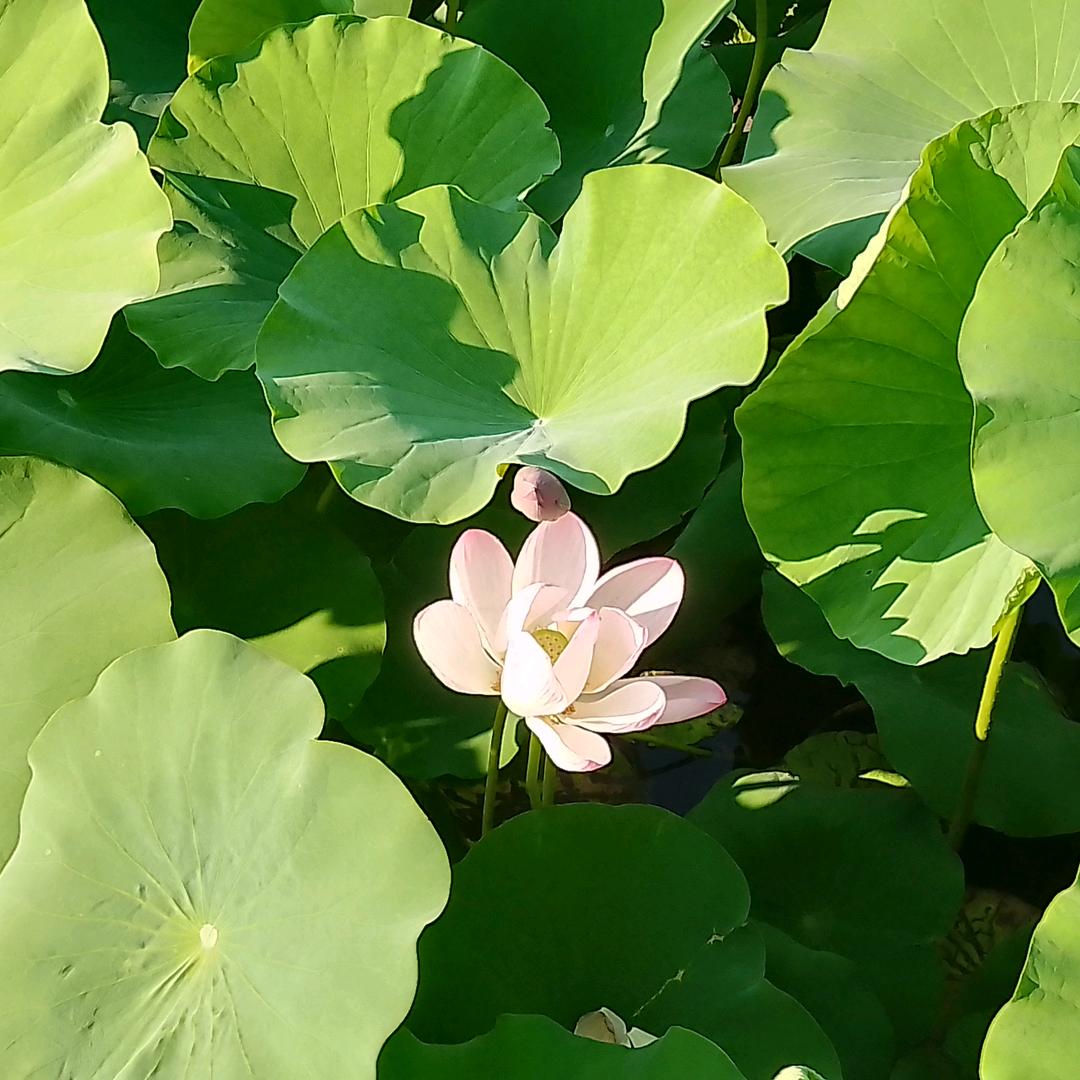 战略思维