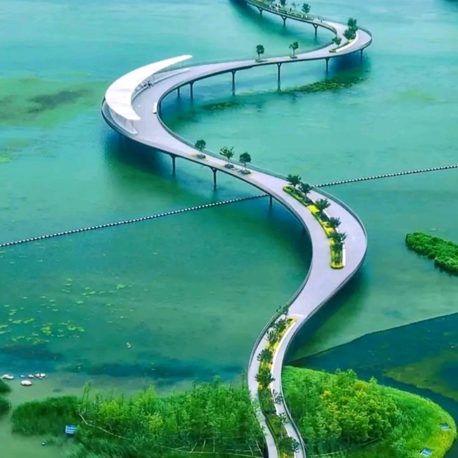 川流不息（杨）