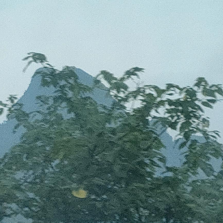 苍山孤鹤鸣