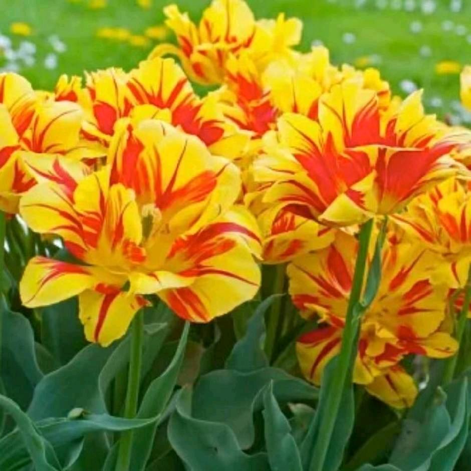 放下过去，开开心心美一天，