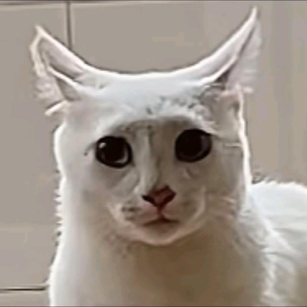 人机番茄