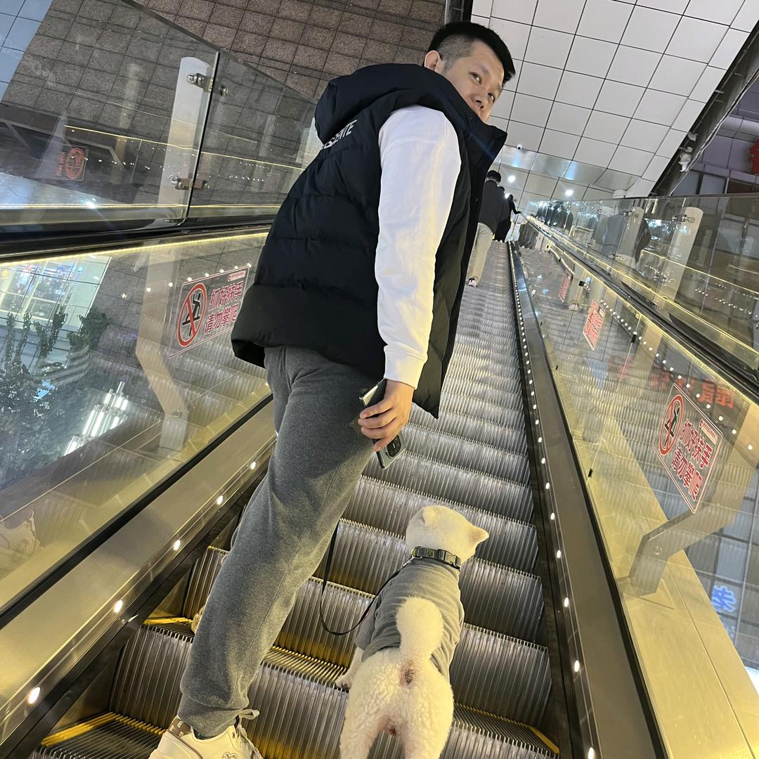 副会长 ☂
