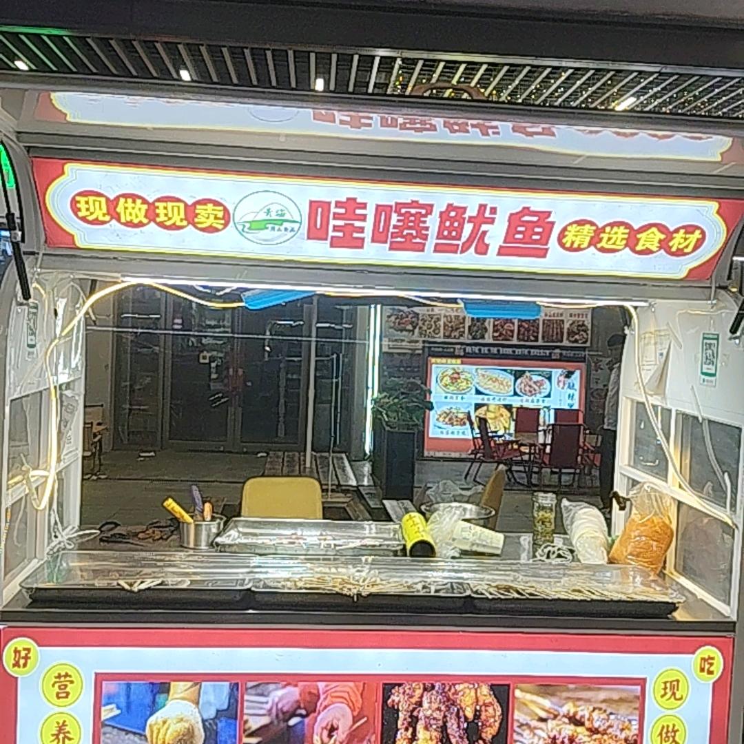 城东吾悦 哇噻鱿鱼 烧烤