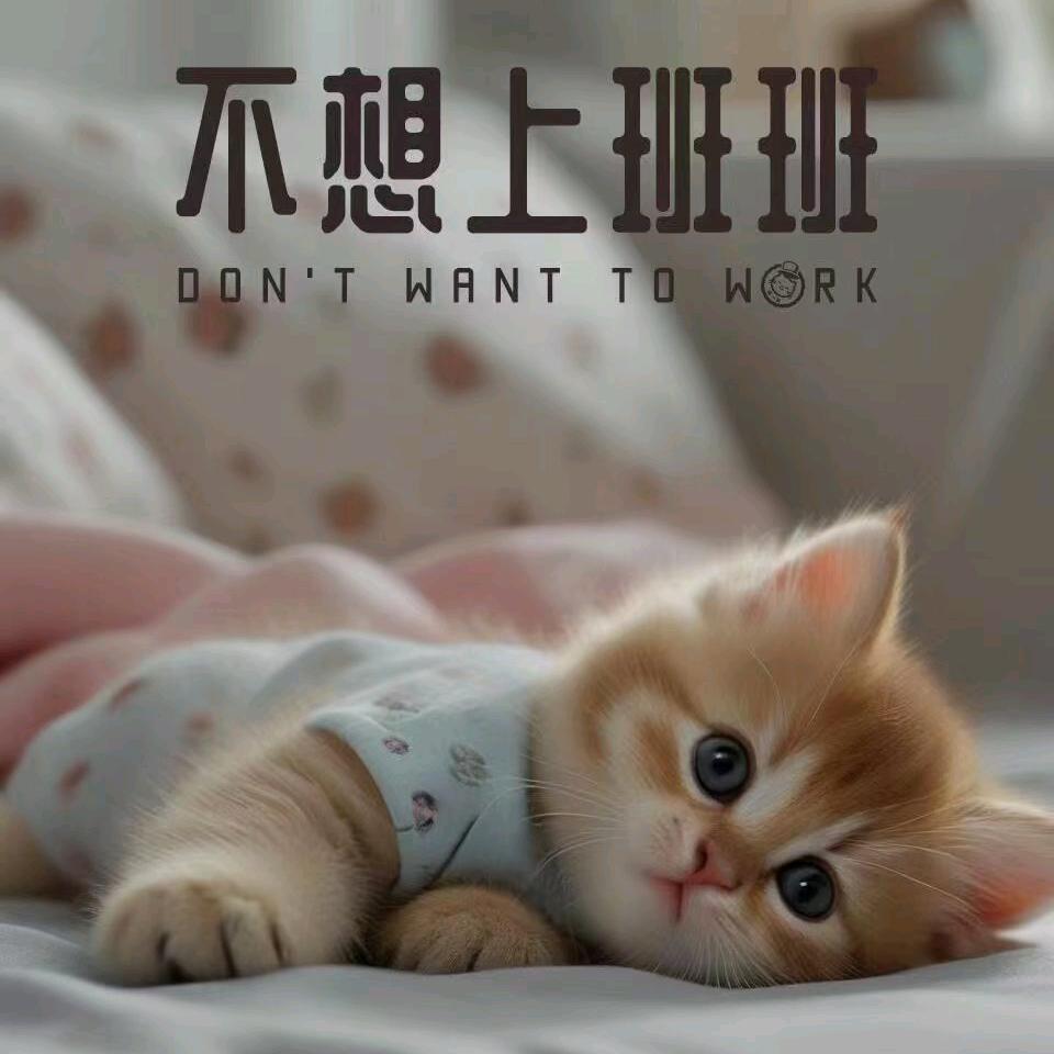 心情不好  姐就是脾气差