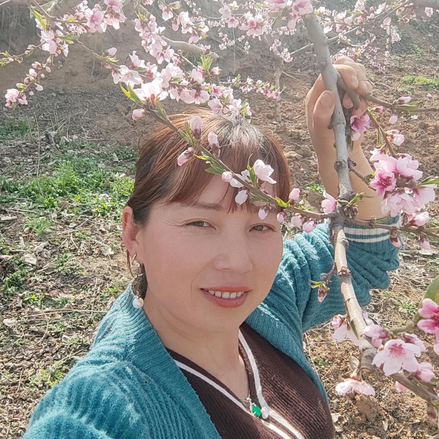 花木兰