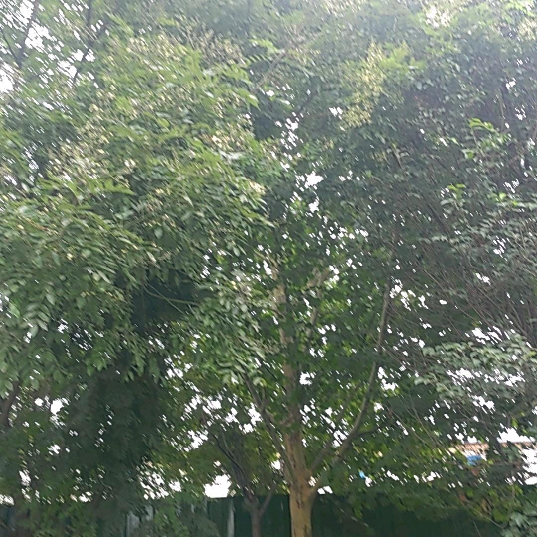 幸福的港湾