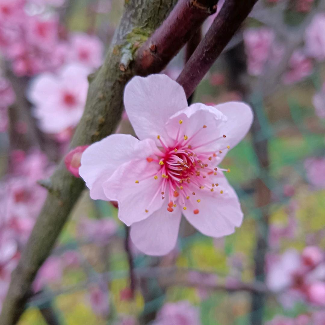 💖为你ຈل͜ຈ停刘༽