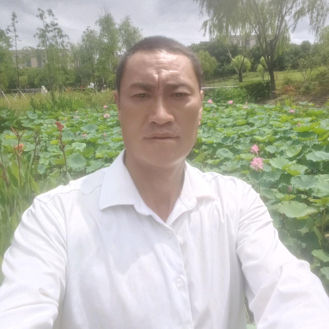 自由一生命运
