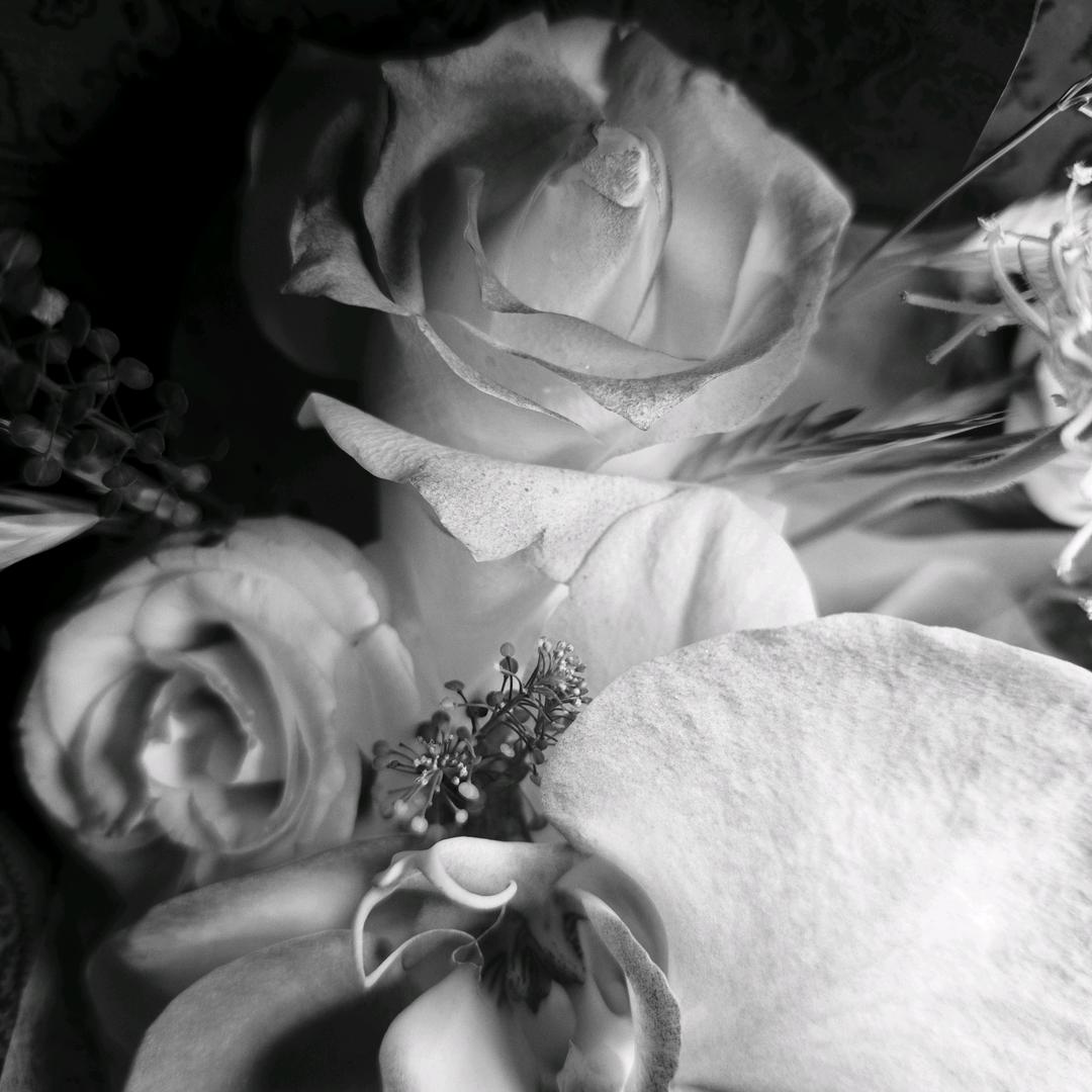 闻劭（听说这名儿好上岸）