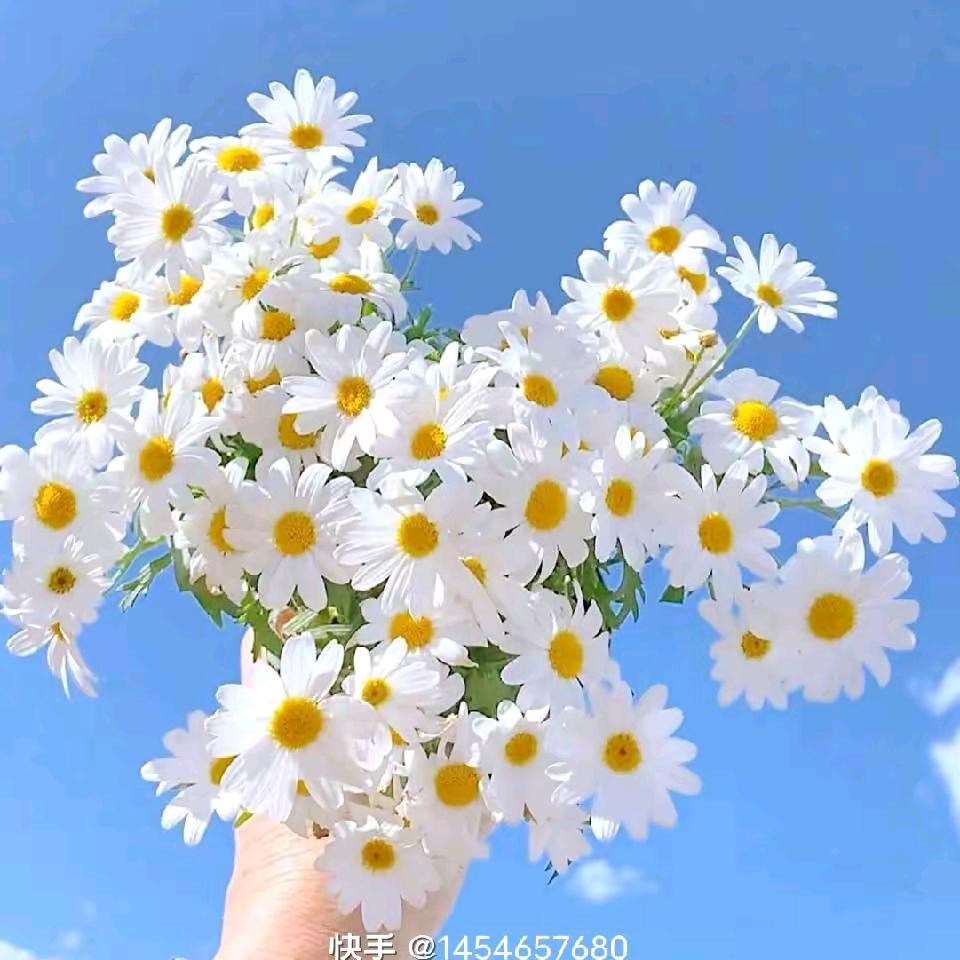 心静