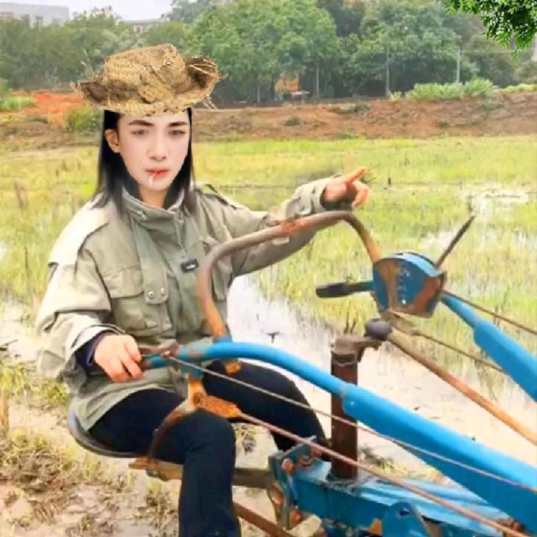 开心的每一天
