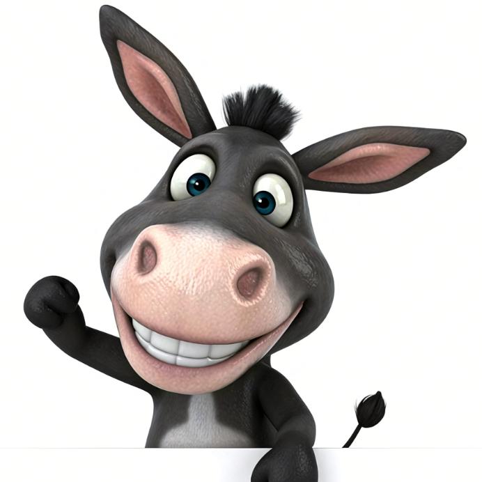 驴驴s的发疯日记