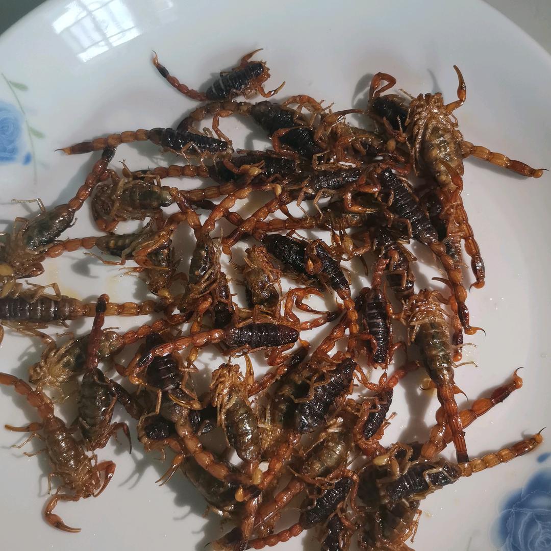 钢哥