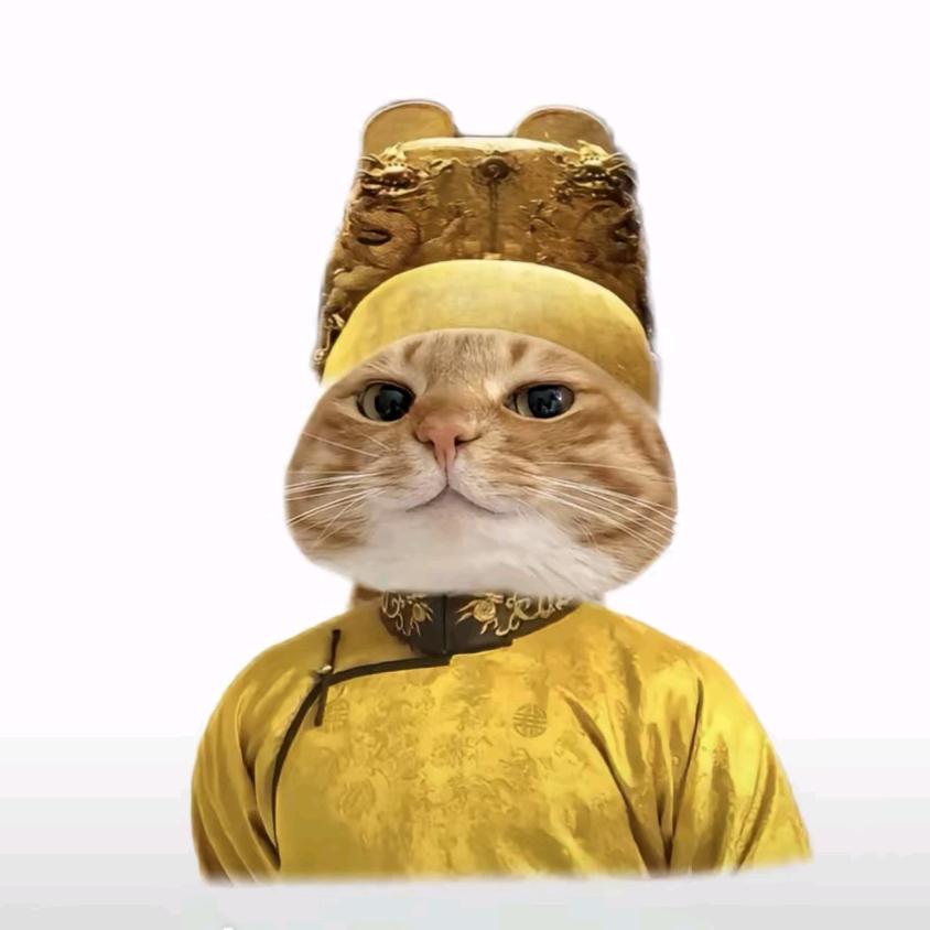哦耶