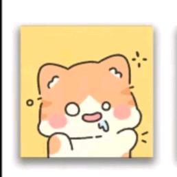 洛芷露