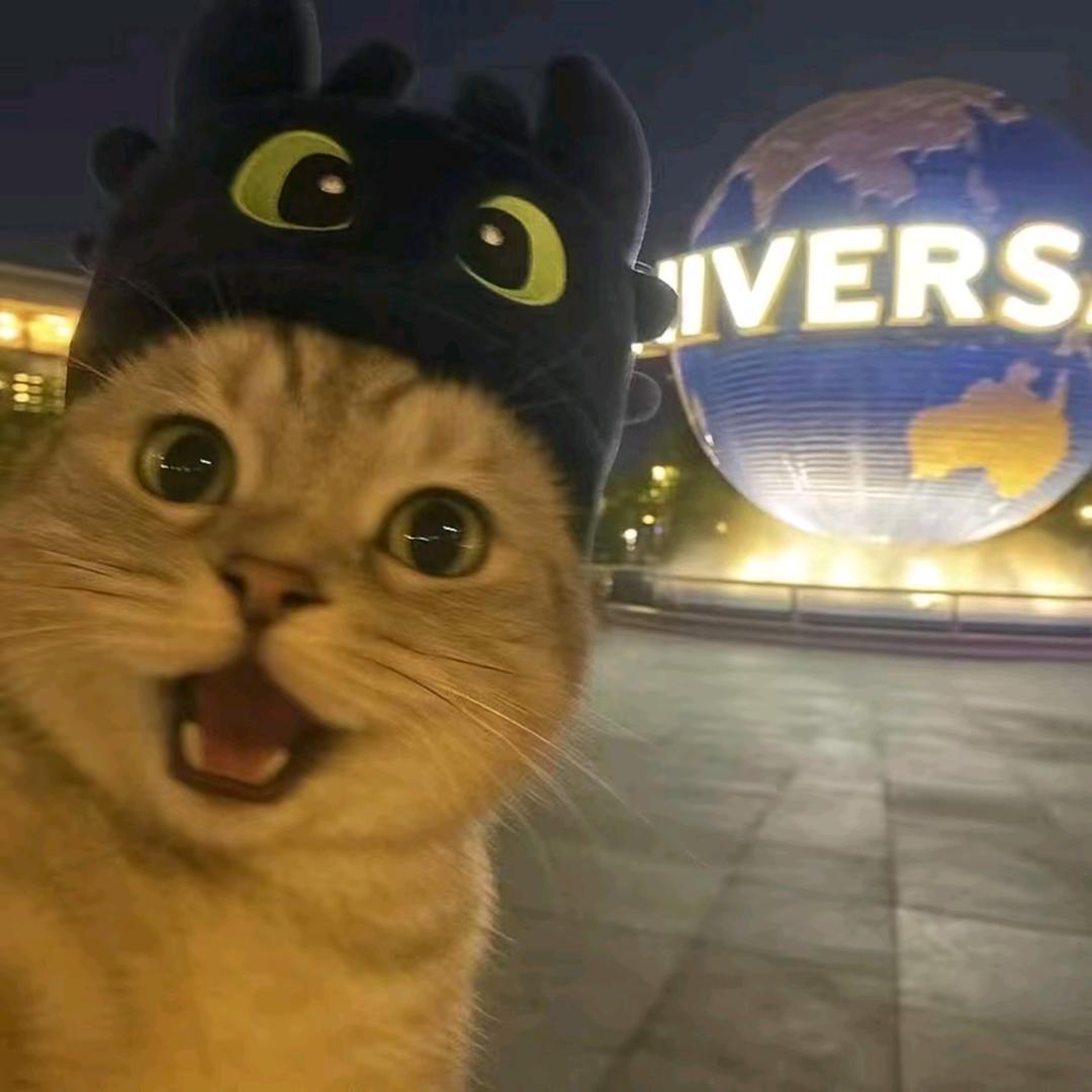 付月