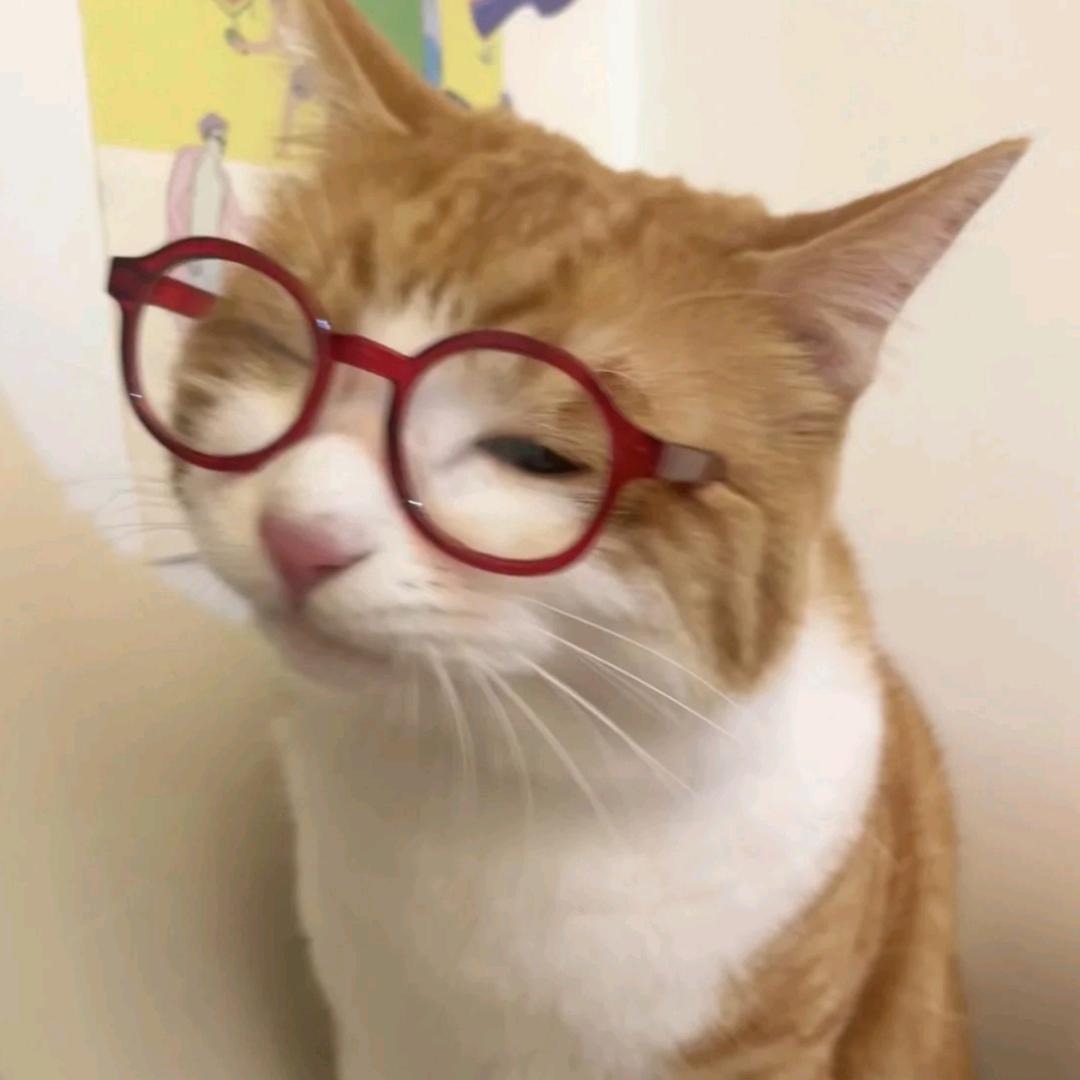 圈圈猫ccd相机小铺