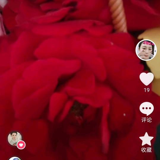 生活没烦恼  拒绝私聊