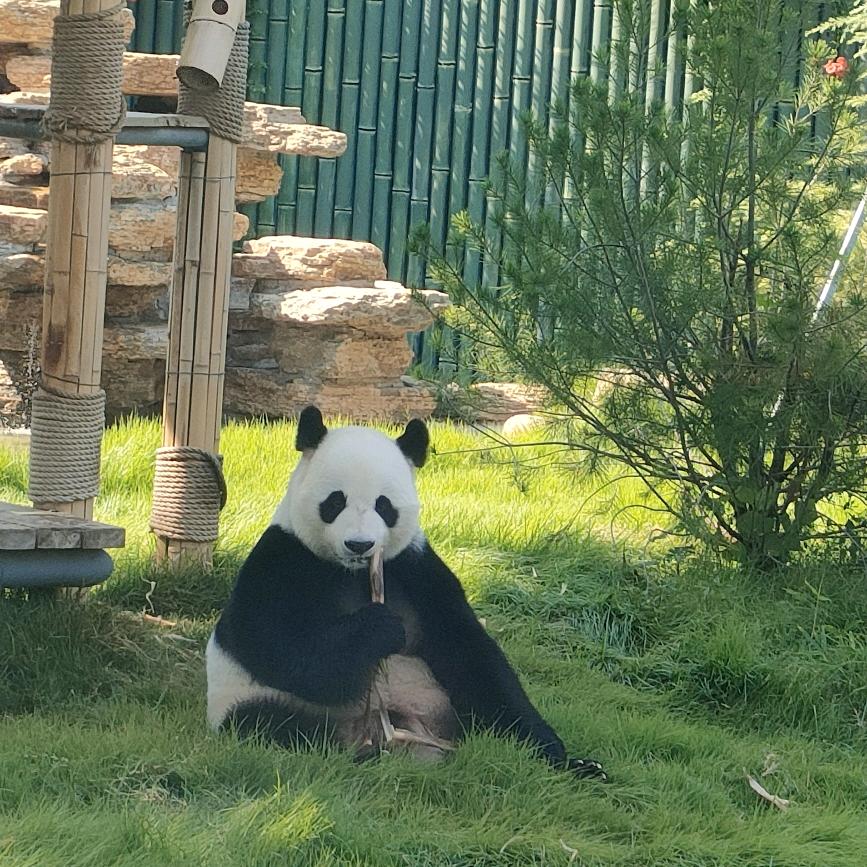 余生有你便安好