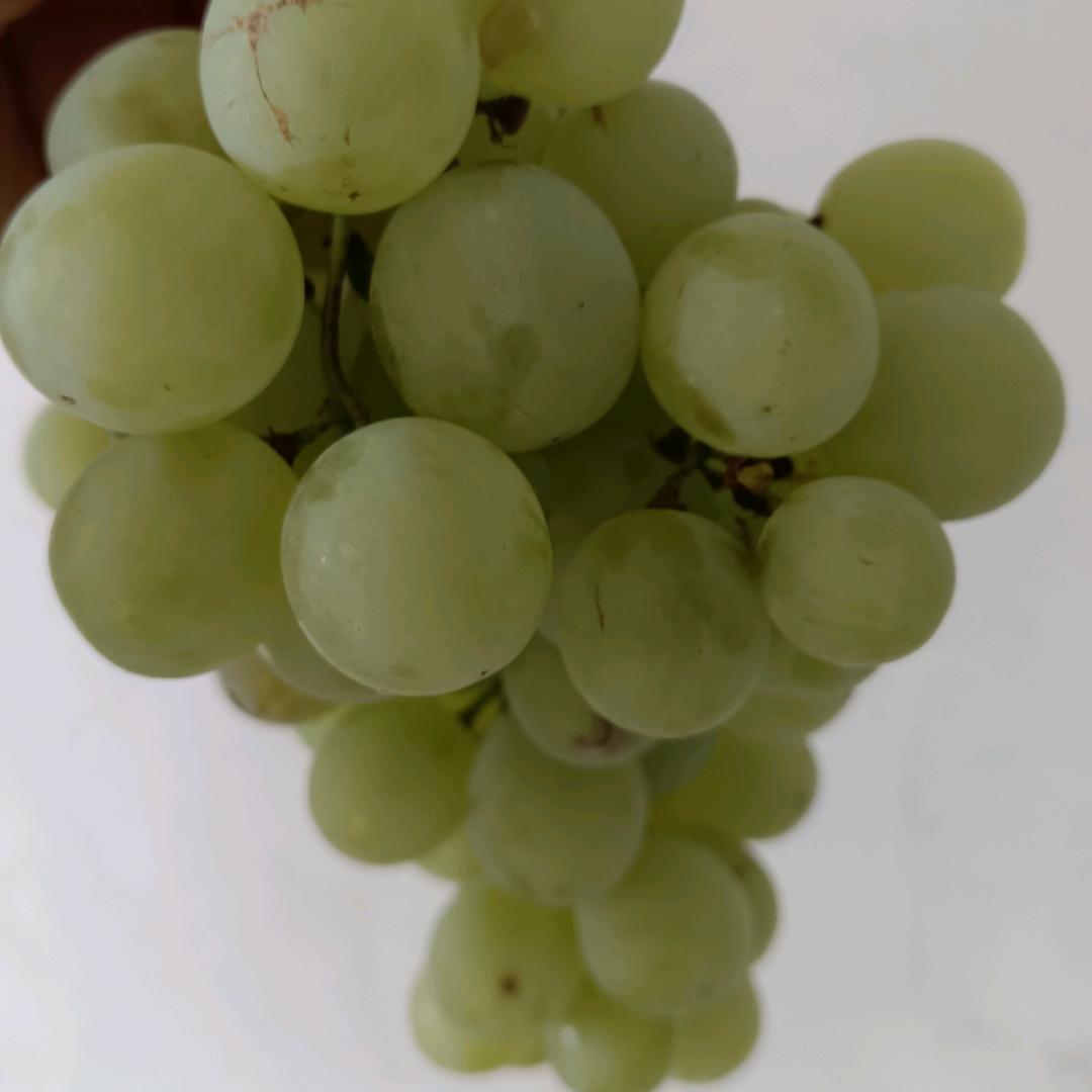 💫幸福有你✨️