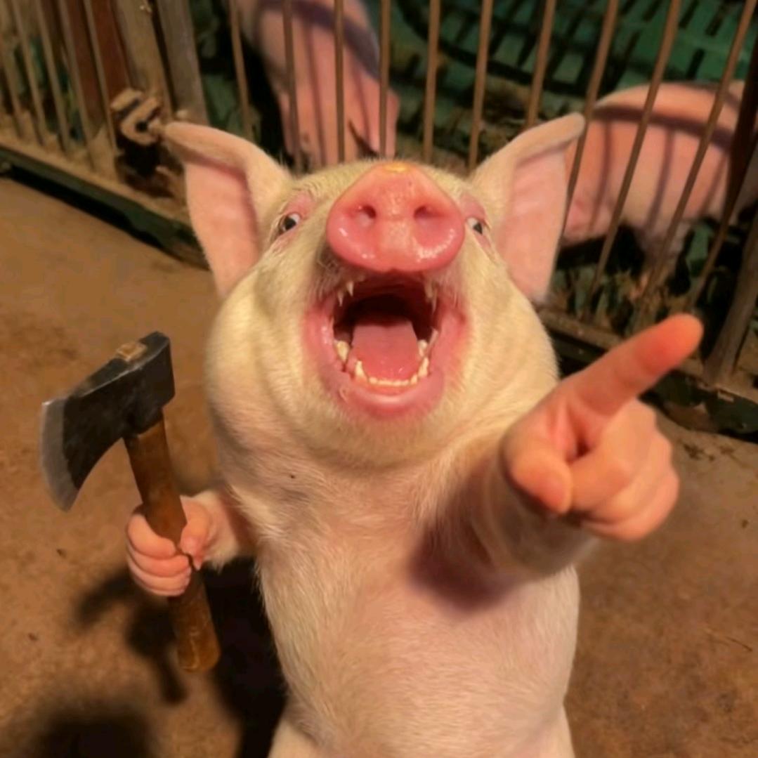 翠兰我到高老庄咯