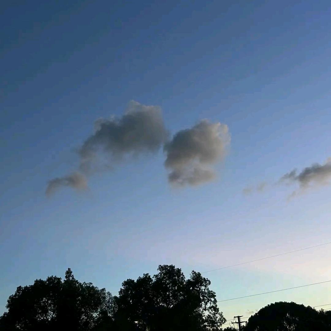 初 阳