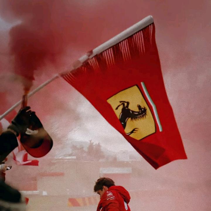 🙀🐱🐈😺😸😹😻😼😽🙀