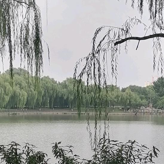 @华哥