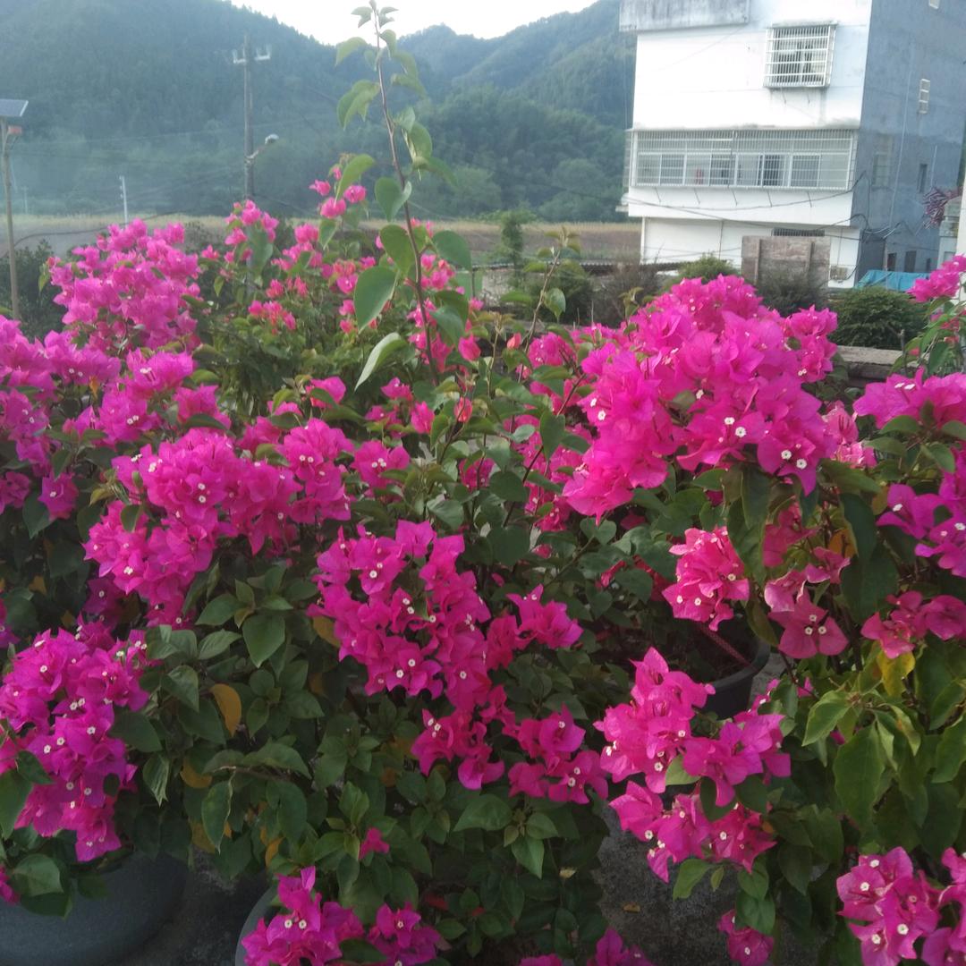 扬帆起航