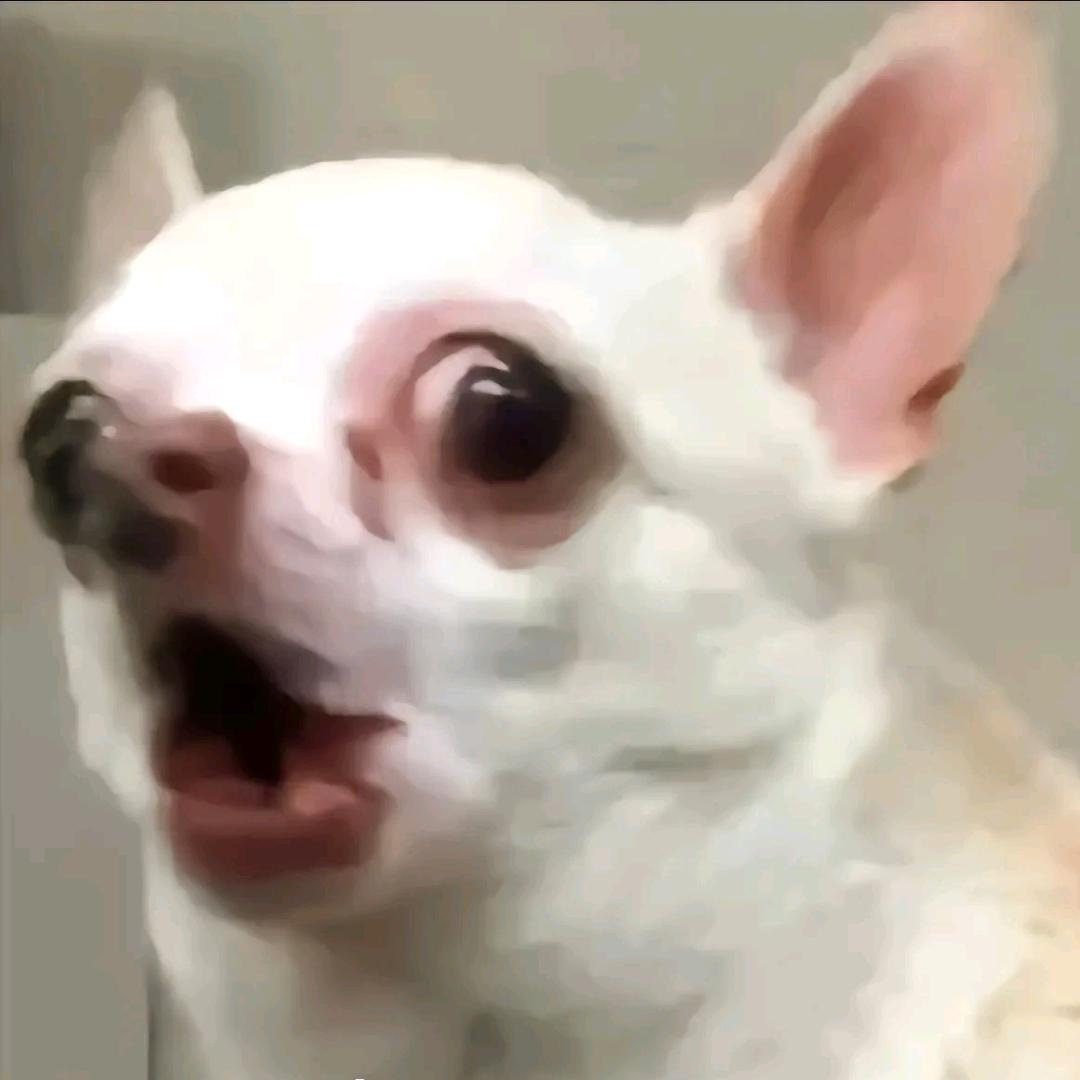 阿龙在看播