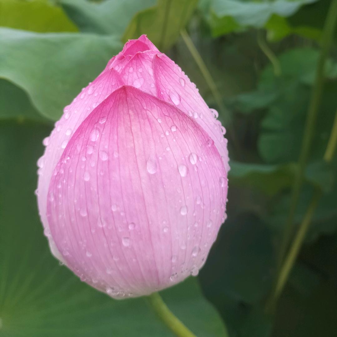 🕊᭄᭄吕꧔ꦿᩚ途🍒有你💕࿐🕊