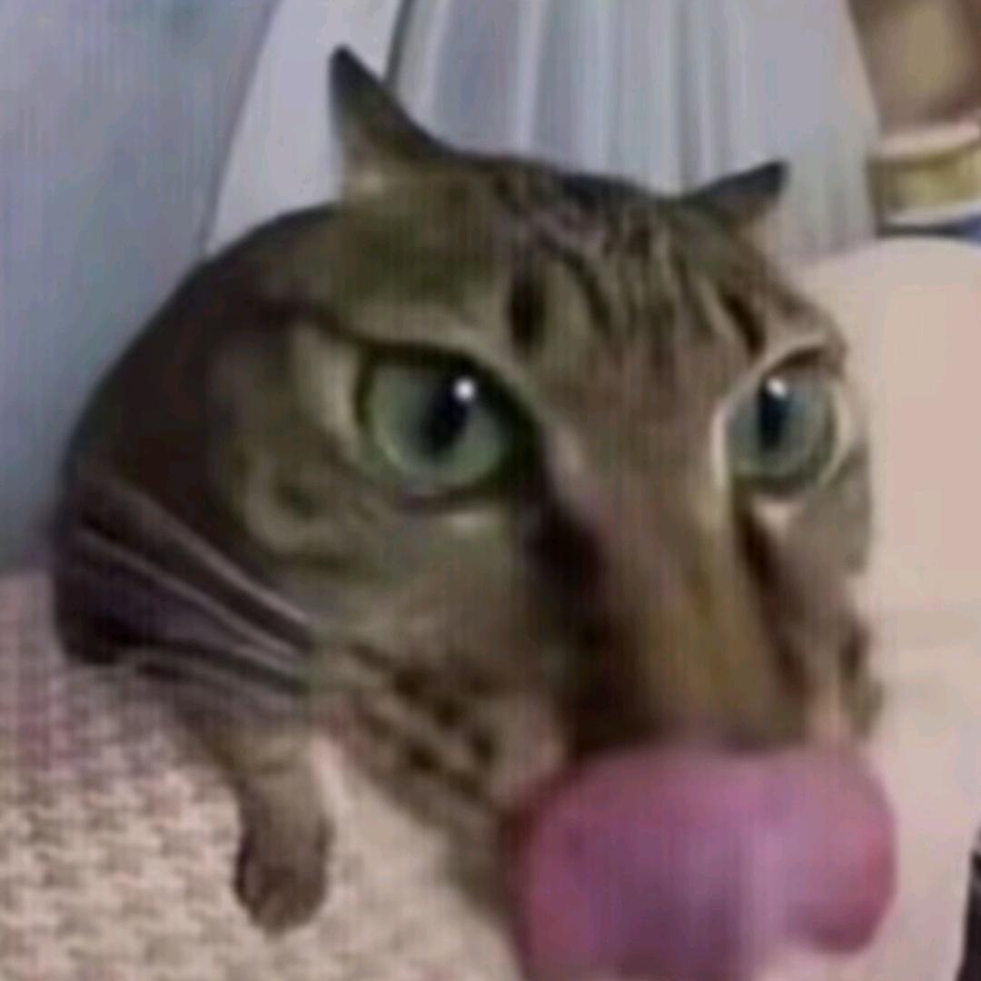 嬷嬷大帝（不签to）