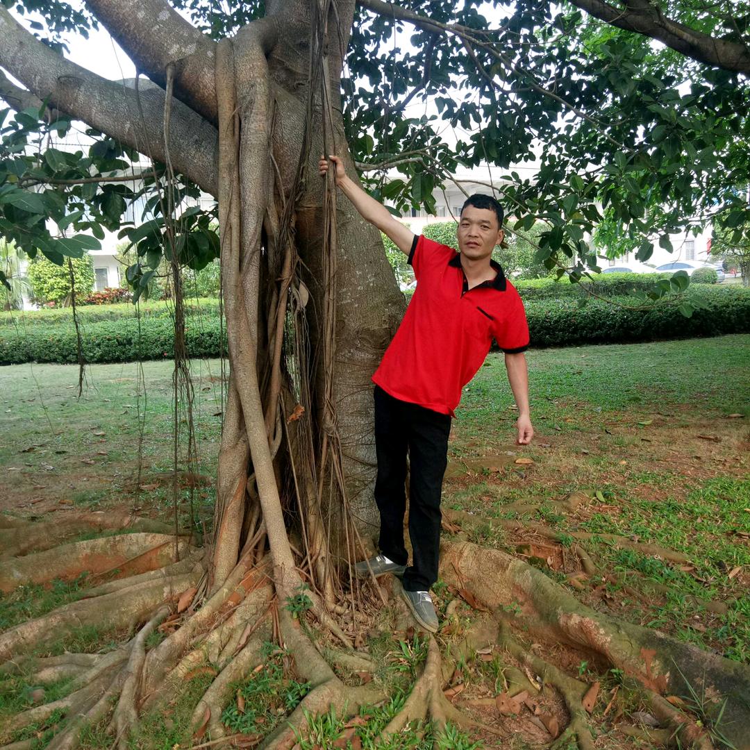 ͏͏ ͏͏͏͏ ͏͏路过的风