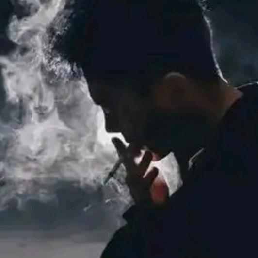🌹陌尘