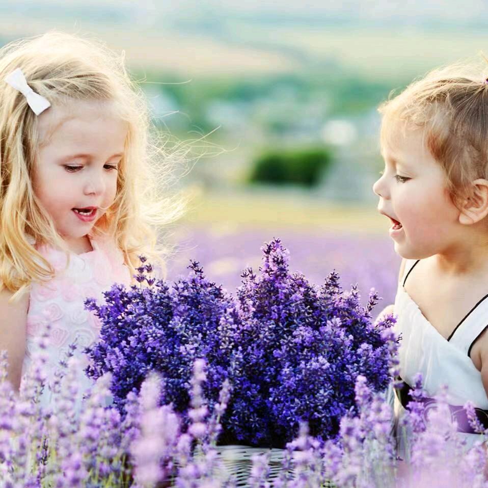 浮生若梦🌻🌻🌻🌞🌞