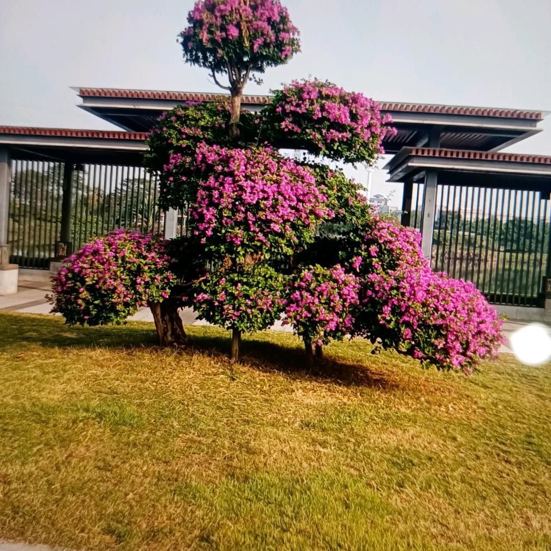 不在等了