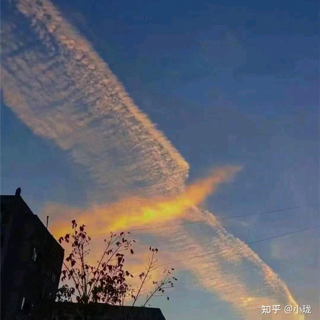 辣辣辣辣辣辣死我辣