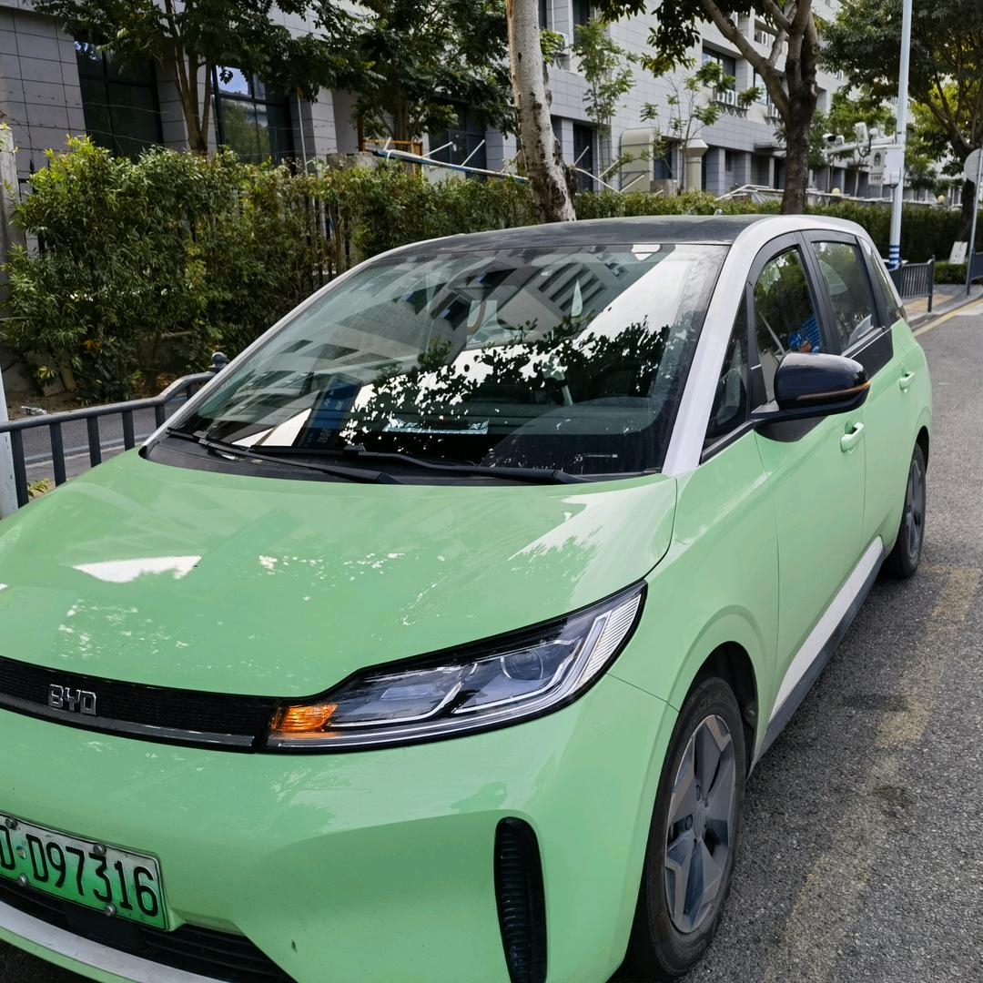 车车张