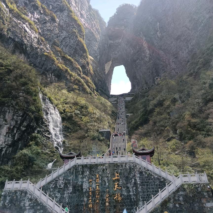 猫在旅途