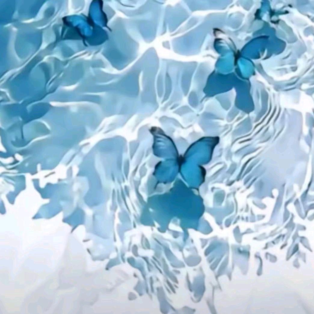 最美时光