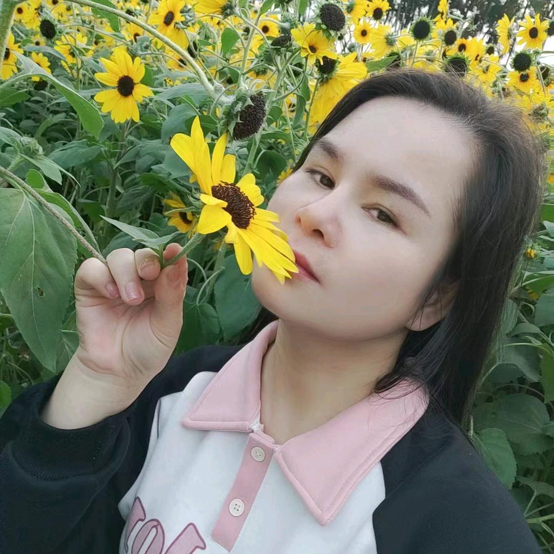 👄小太阳👄