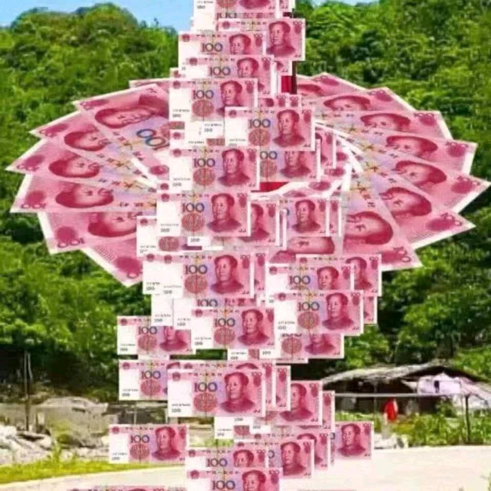 我是李龙飞