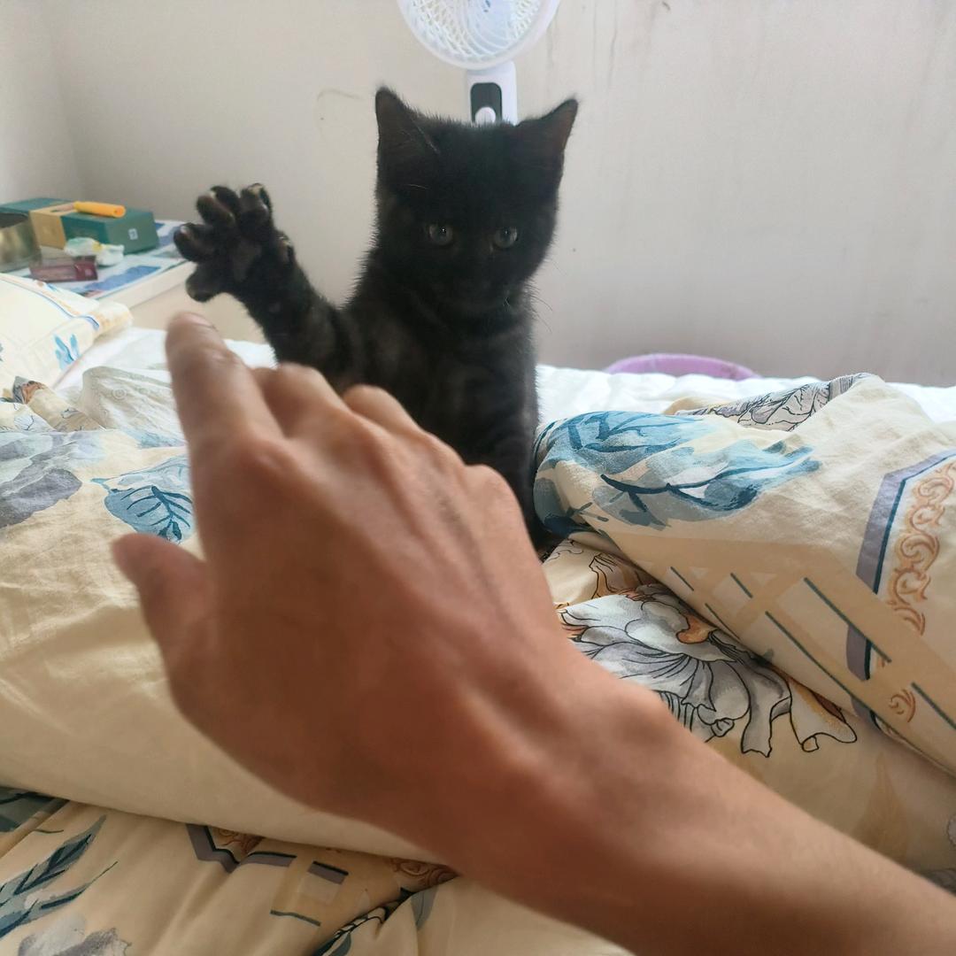 安顺房产严小