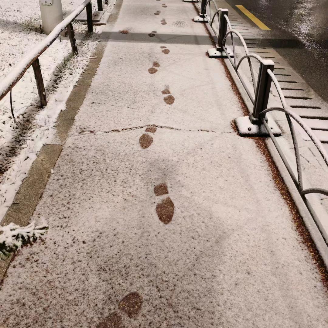 布鲁