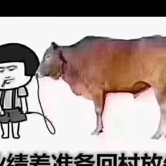 元哥喜欢你🥰(づ￣3￣)づ╭❤～
